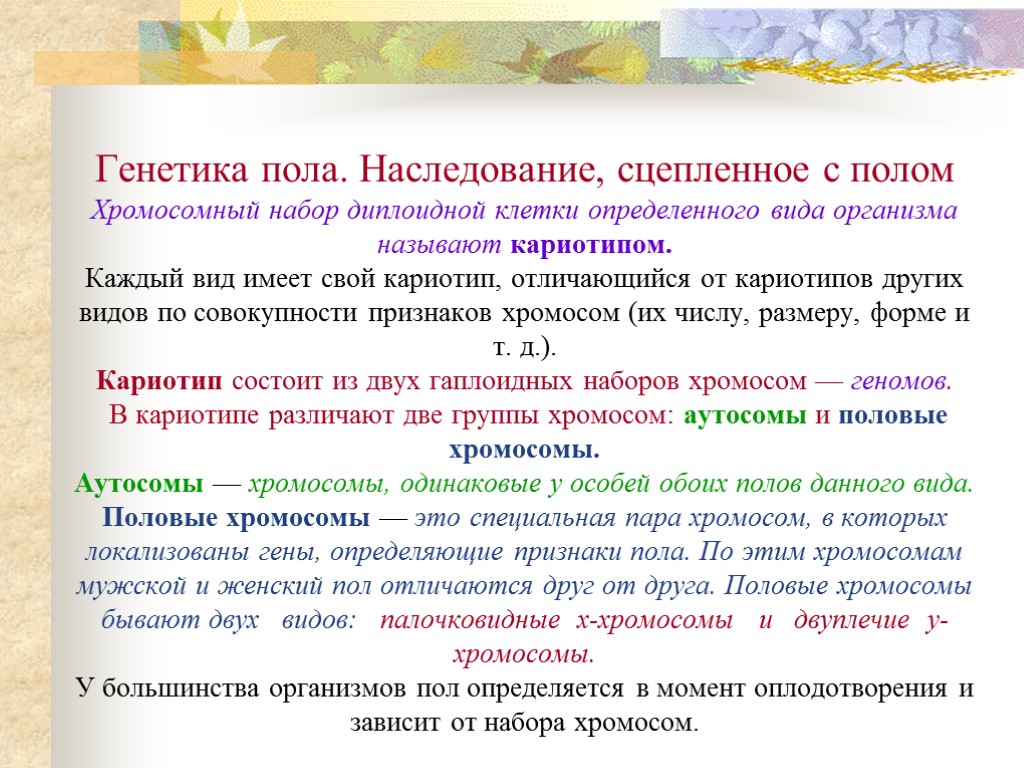 Генетика пола. Наследование, сцепленное с полом Хромосомный набор диплоидной клетки определенного вида организма называют